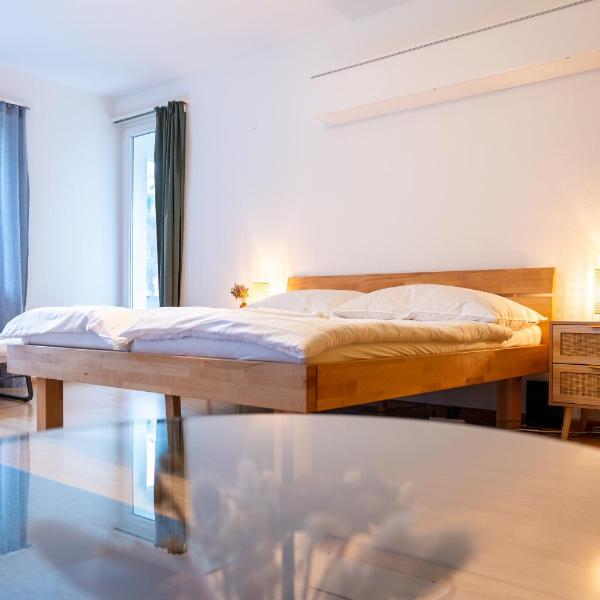 Gemütliche Wohnung Nähe Uni, Basel