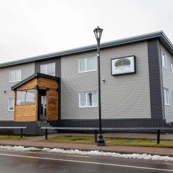 Appartements-Hôtel les Mouettes, Hotel in Sept-Îles