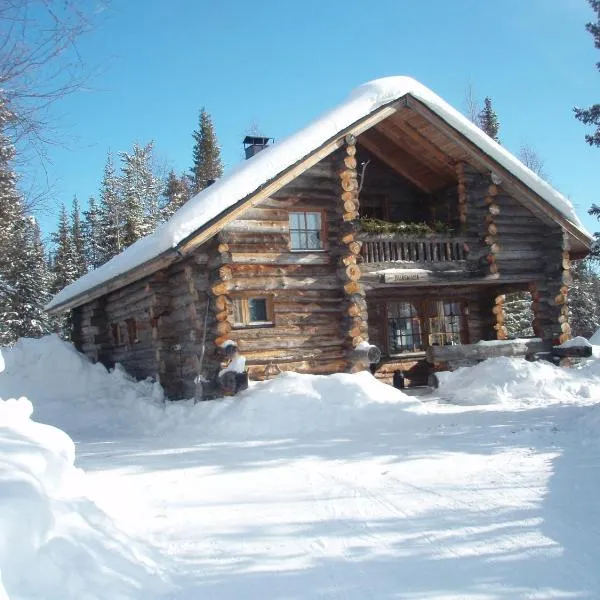 Ylläshilla Cottage, Hotel in Äkäslompolo