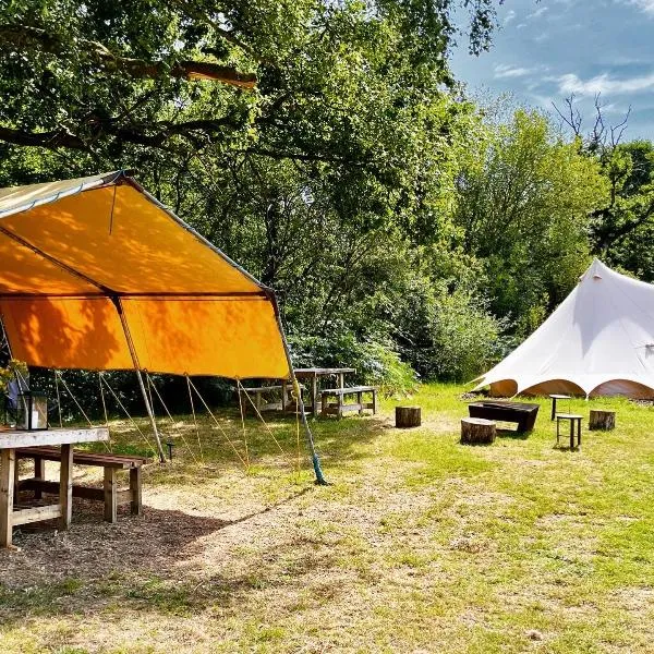 Lickham Bottom Camping, hotel in Hemyock