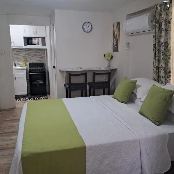 Michand Guest Apartments- Cozy one or two bedroom- 5 walk minutes from airport 10 mins drive to Oistins or beach, hotel em Christ Church