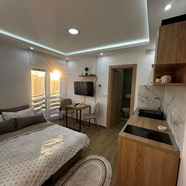 Apartmani Mojić Divčibare 2,位于迪瓦伊巴雷的酒店