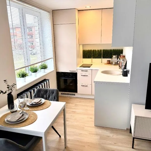 Koeru Raki apartement, hotel in Koeru