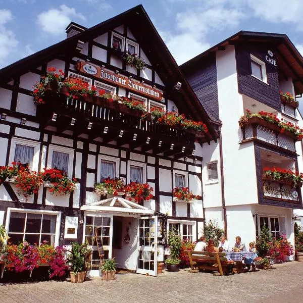 Pension Zueschener Bauernstuben, Hotel in Winterberg