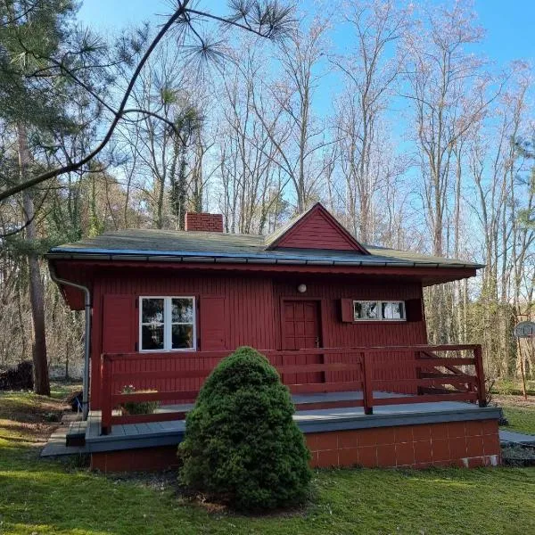 Boszkowski Azyl, hotel in Boszkowo-Letnisko