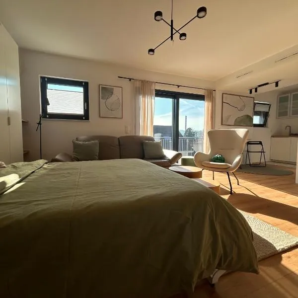 Loft Tower Sisseln，Eiken的飯店