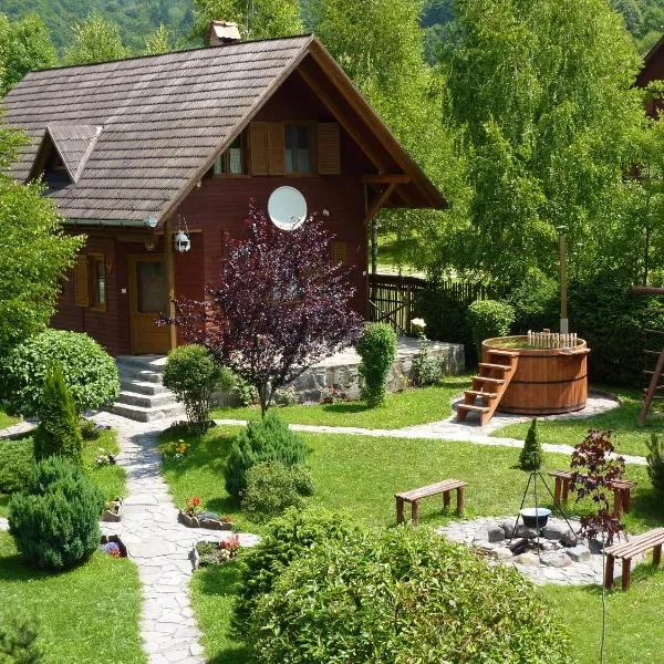 Nagy Lak II., Hotel in Sub Cetate