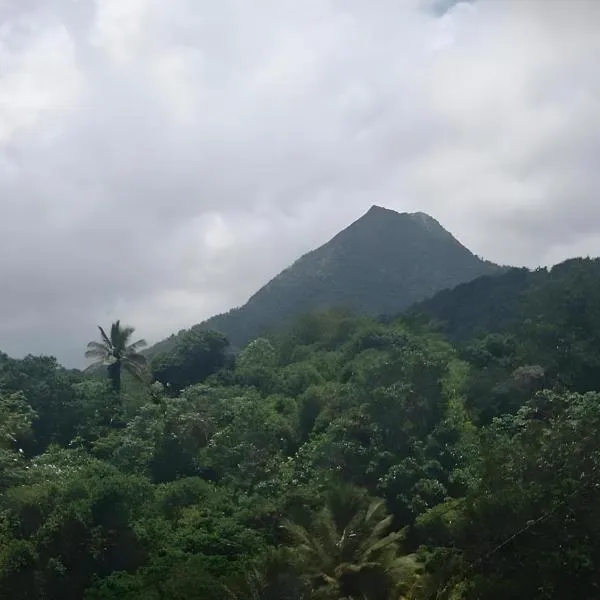 Maison entière - La Florière Verdoyante, hotel u gradu Le Morne Rouge