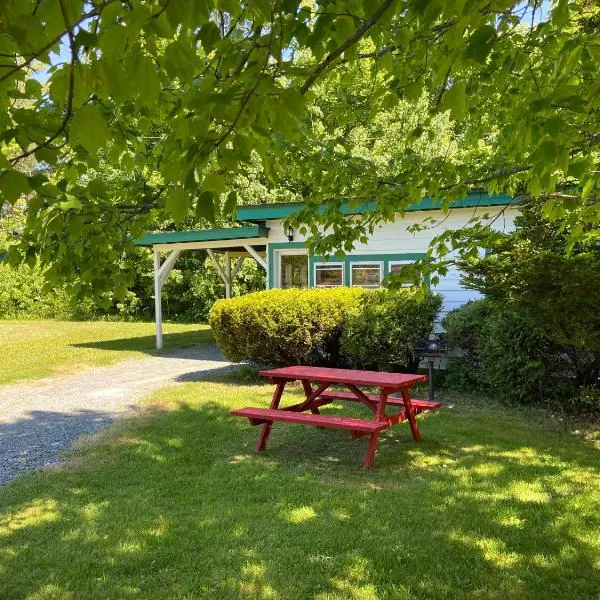 PATIO MOTOR COURT, hotel in Carroll