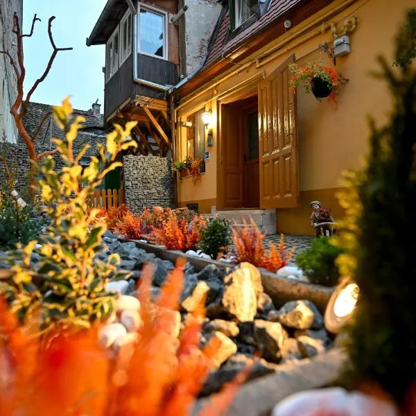 Hermannstadt House 1, Hotel in Hermannstadt