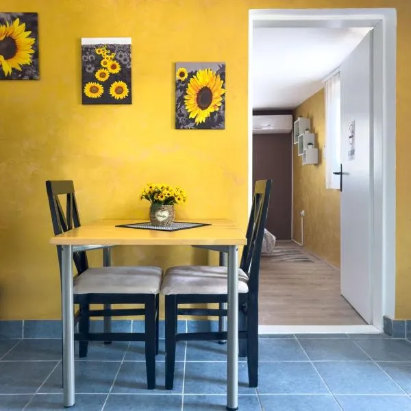 Apartman HILL 3, Hotel in Golubac