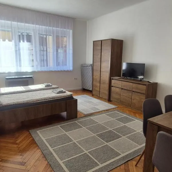 Downtown Studio Apartman, hotell sihtkohas Pécs