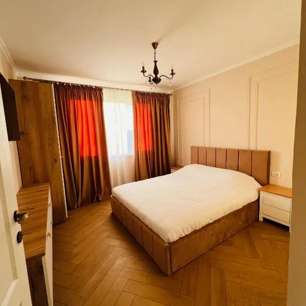 Andra, ξενοδοχείο στην Ντρομπέτα-Τούρνου Σεβερίν
