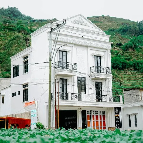 Roadsidevilla's, hotel in Dieng