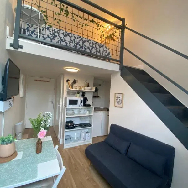 Lespinet BNB - Duplex avec parking, hotel in Toulouse