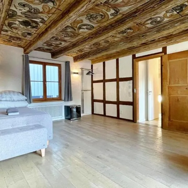 Rheinstream Guesthouse Basel, hotel v Basileji