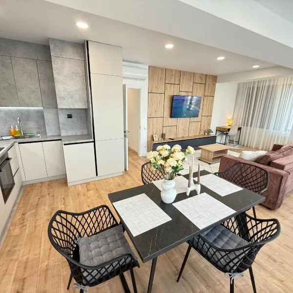 RentNow Large and Cozy Apartment in the Center, Parking，奇西瑙的飯店