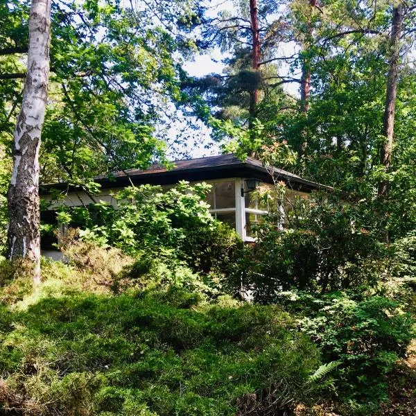 Waldhaus am Meer, hotel v destinaci Lubmin
