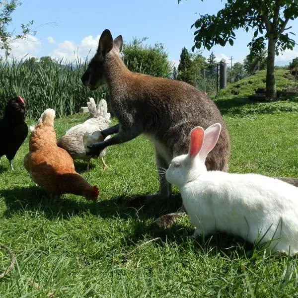 Steigmatt Bauernhof- Erlebnis, hotell sihtkohas Montlingen