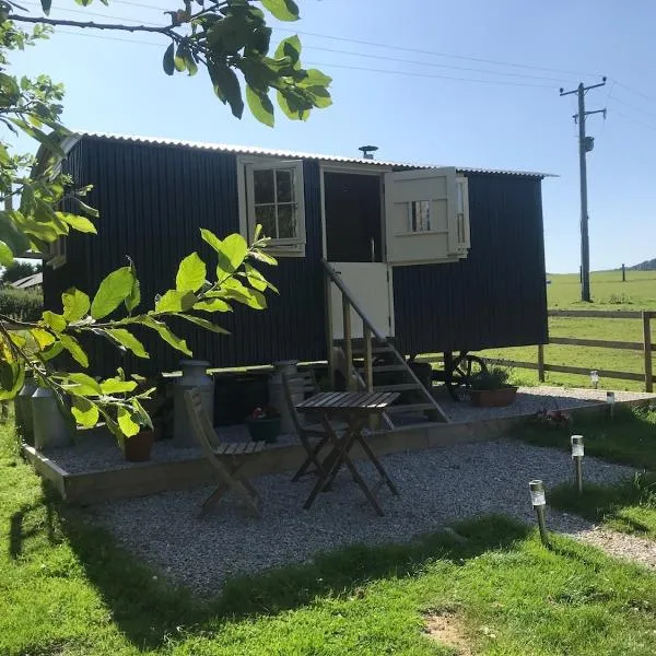 Phoenix Farm Shepherds Hut,Minions, Cornwall – hotel w mieście Liskeard