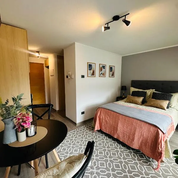 Hermoso Estudio, hotel en Concepción