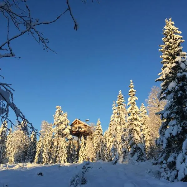 Faråsen Luxury Treetop Cabin - Sleep Among the Trees, hotel a Ringsaker