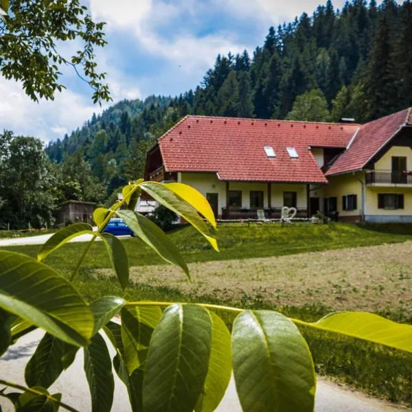 Farm Stay Loger, hotel in Ljubno