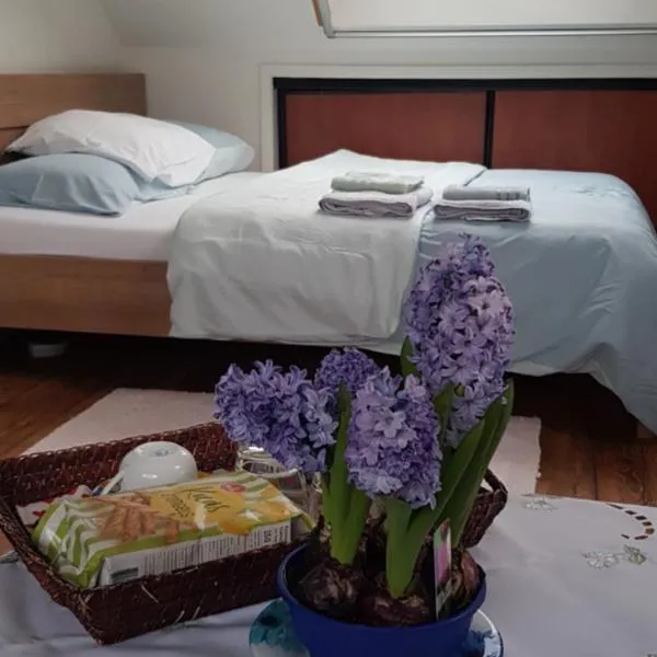 Volendam, hôtel à Volendam