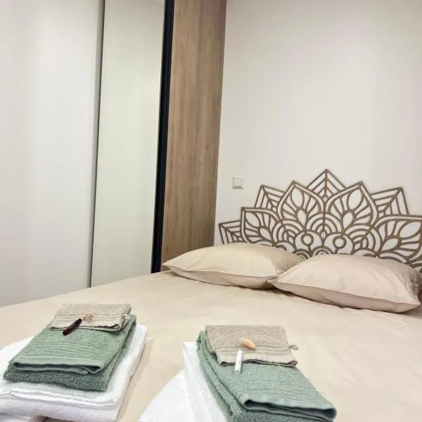 Zen & Nature au Centre Ville，位于Audun-le-Tiche的酒店