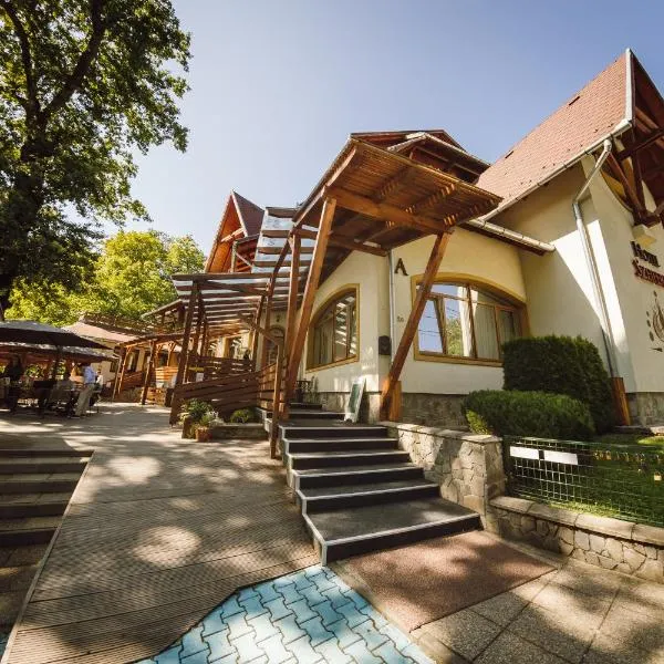 Hotel Szeifert, hotel din Sovata