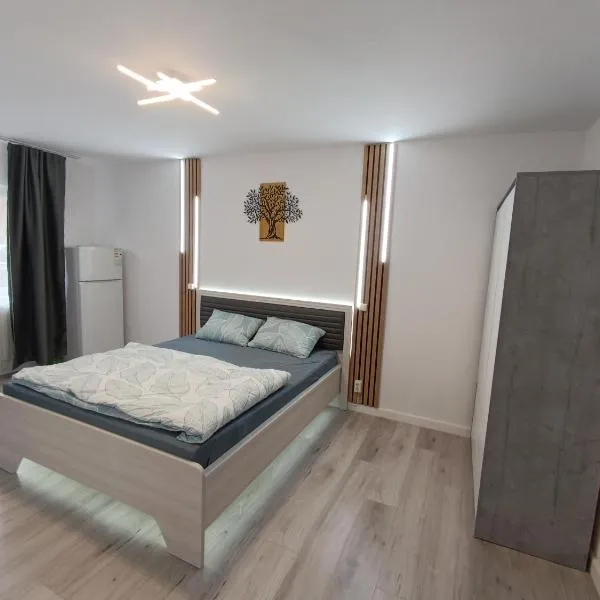 Garsoniera luxury, hotel en Orăştie