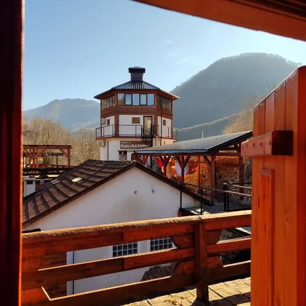 Dzajicaa Buk Rooms - Noahs Ark, hotel em Konjic