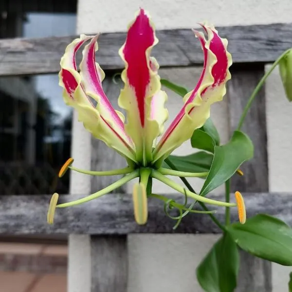 Serenity Place B&B and Conference, wedding venue, hotel in Durban