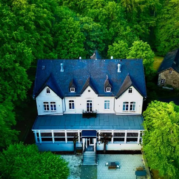 VILLA FIRST im Sophienhof, hotel in Königswinter