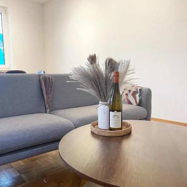 Charmante Ferienwohnung im Herzen der Koblenzer Altstadt, hotel v Koblenci
