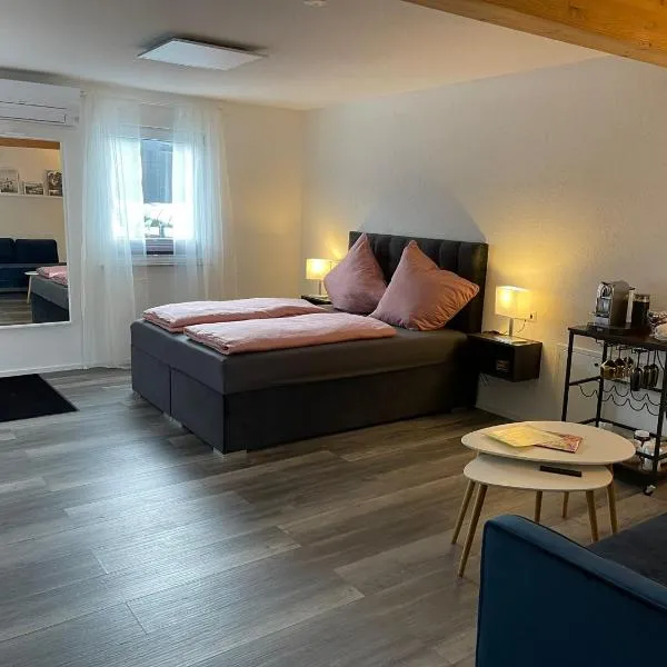 Luxus Appartement Motel Ambiente 3, hotel i Bad Säckingen