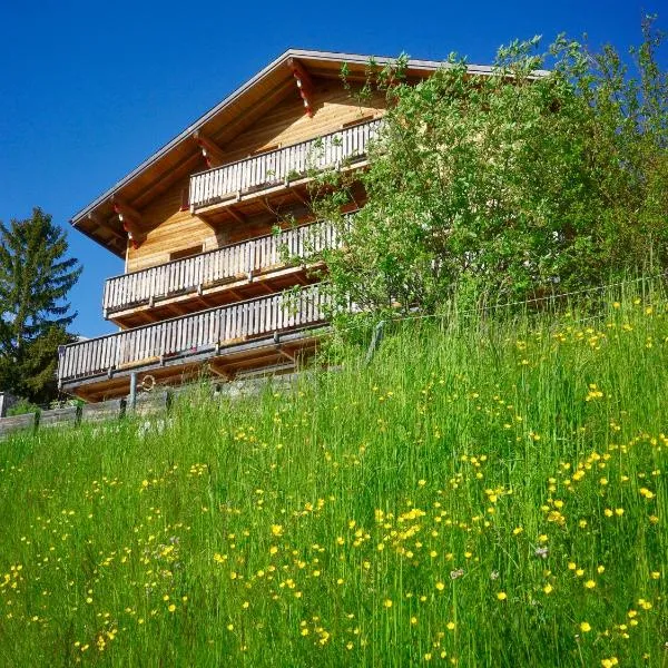 Haus Rhodania, готель у місті Albinen