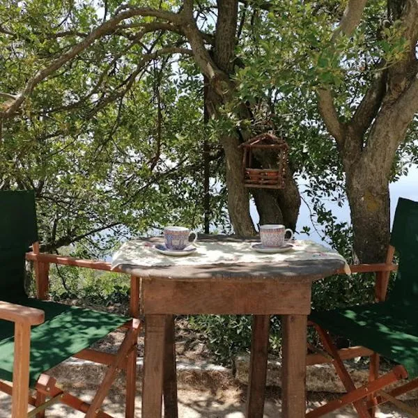 Granny's House, ξενοδοχείο στους Κουνιάδους