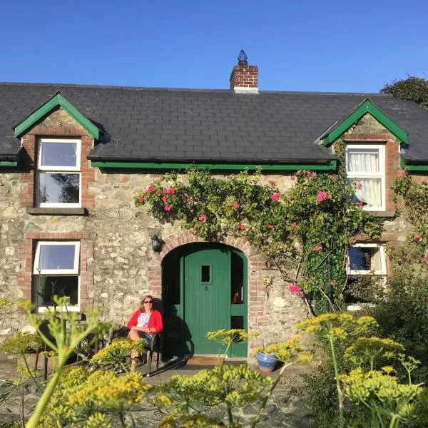 Tadpole Lodge, hotel in Waterford