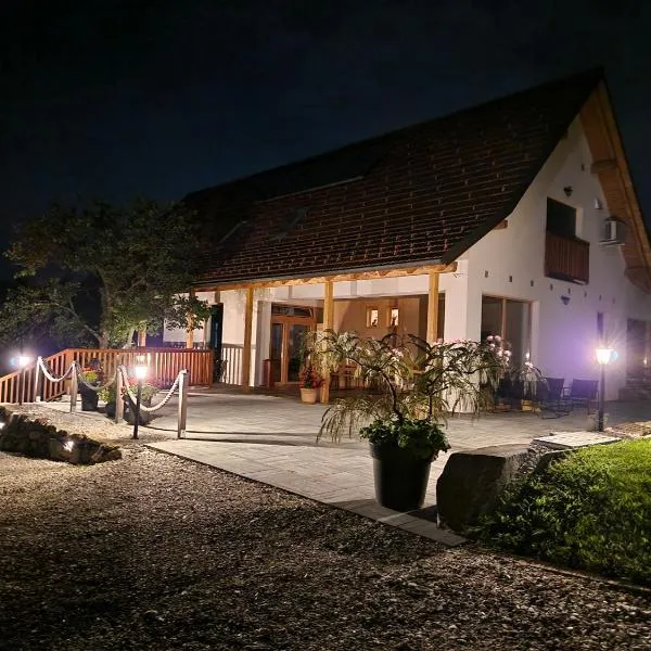 Rooms & Wine Lilek, hotel in Šentilj