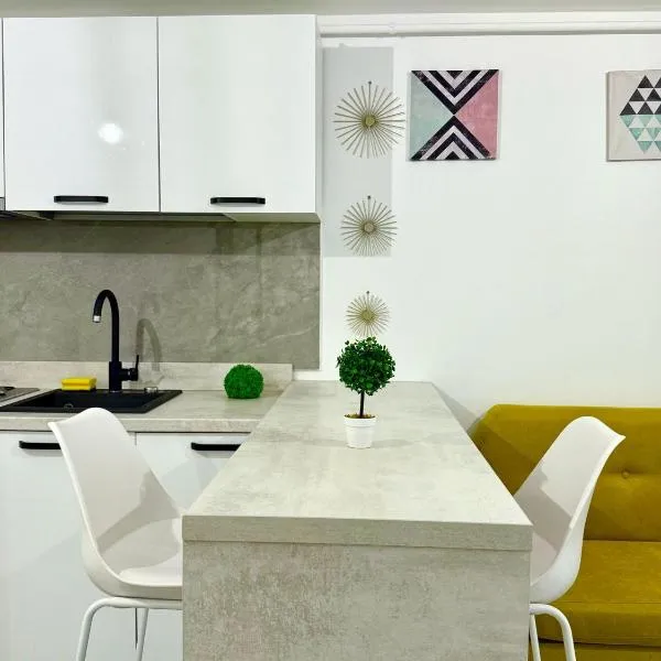 Airport Lounge - Free Parking, hotel in Iaşi