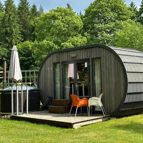 B&B Pod Lake Plateliai: Medsėdžių şehrinde bir otel