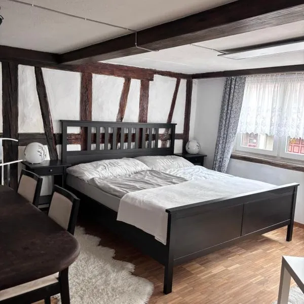 Im Herzen von Rebstein, ξενοδοχείο σε Rebstein