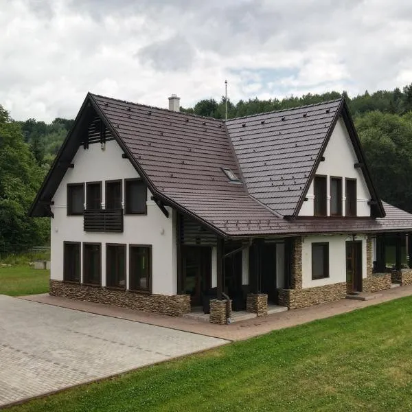 Mountain Paradise & Wellness, ξενοδοχείο σε Izvoare