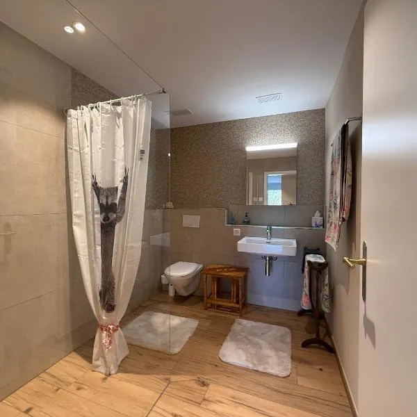 Dussnang, am Entenbach, hotel en Dussnang