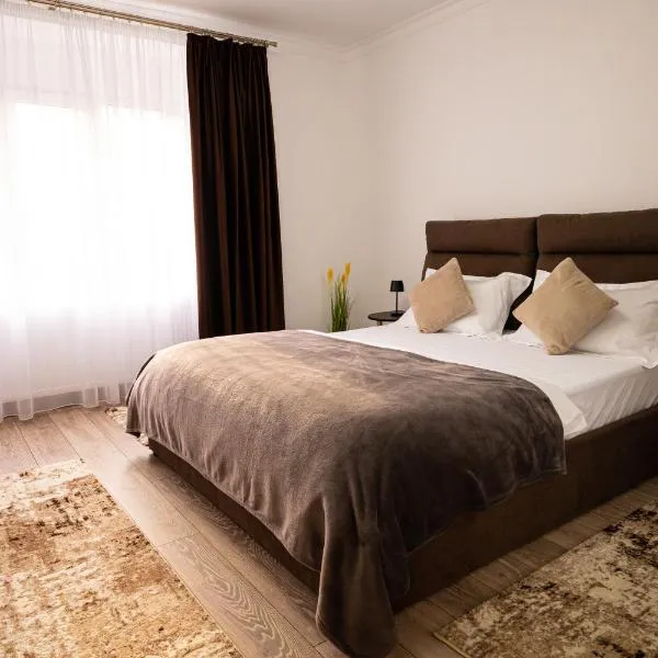 Aly&Emy, ξενοδοχείο σε Caransebeş