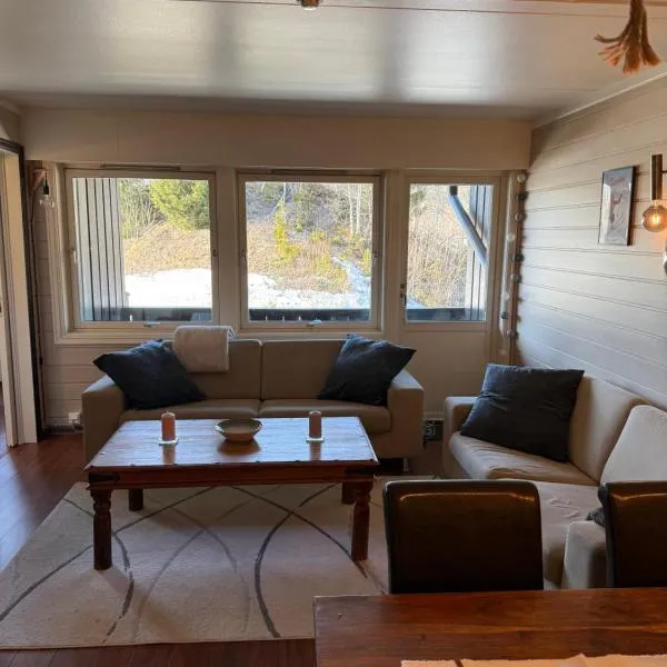 Storehorn apartments, Hemsedal - 2 bedrooms, 5 beds, hotel in Torset