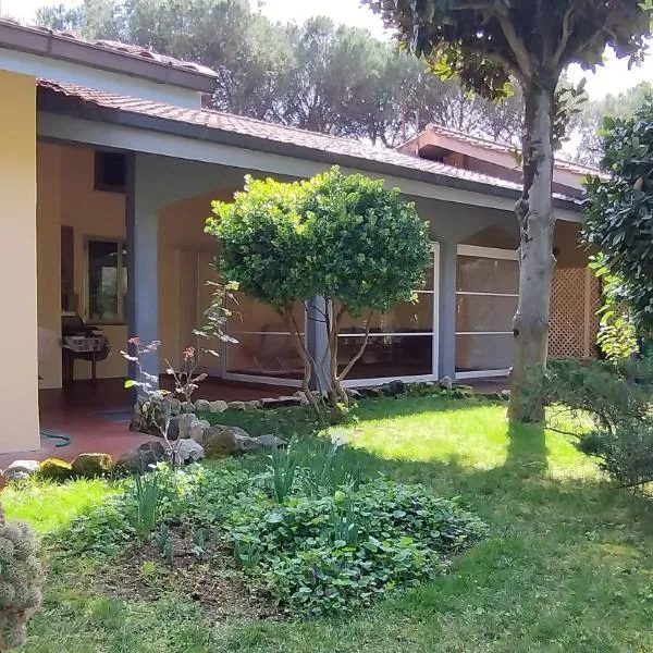 Vivas Rubra B&B, hotel em Roma