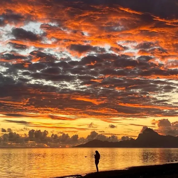 SCO Lodge，位于普纳奥亚的酒店