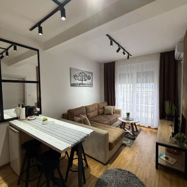 Royal apartmani Vrnjačka Banja, hotel in Vrnjci